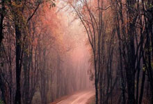 理查兹：曼城四连败只有两场是联赛.