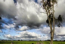 海星体育官网：恭喜赵继伟王岚嵚大韩和金金，辽篮6连胜渐入佳境，杨鸣摊牌了.