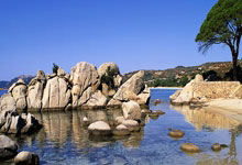 国米两球完胜拉齐奥 与体米争意杯决赛权.